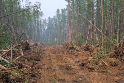 Commercial Land Clearing in Katy, TX